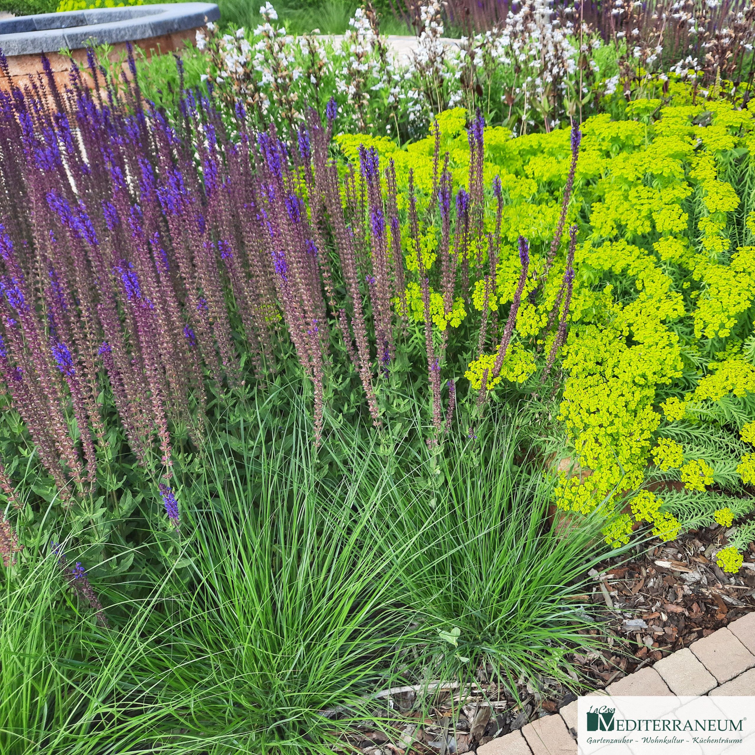 59+ Mediterraneum Gartenzauber-Wohnkultur-Küchenträume, Der